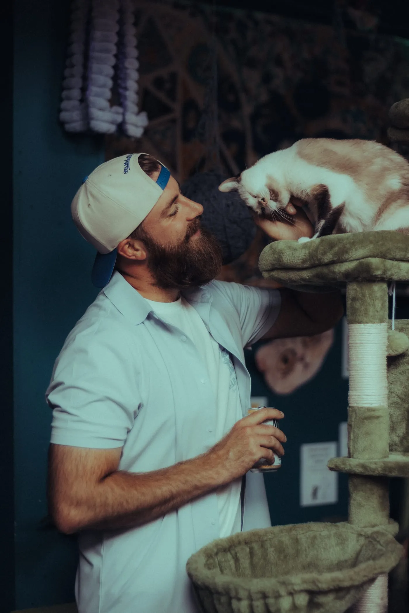 A man leaning in to greet a cat perched on top of a cat tree