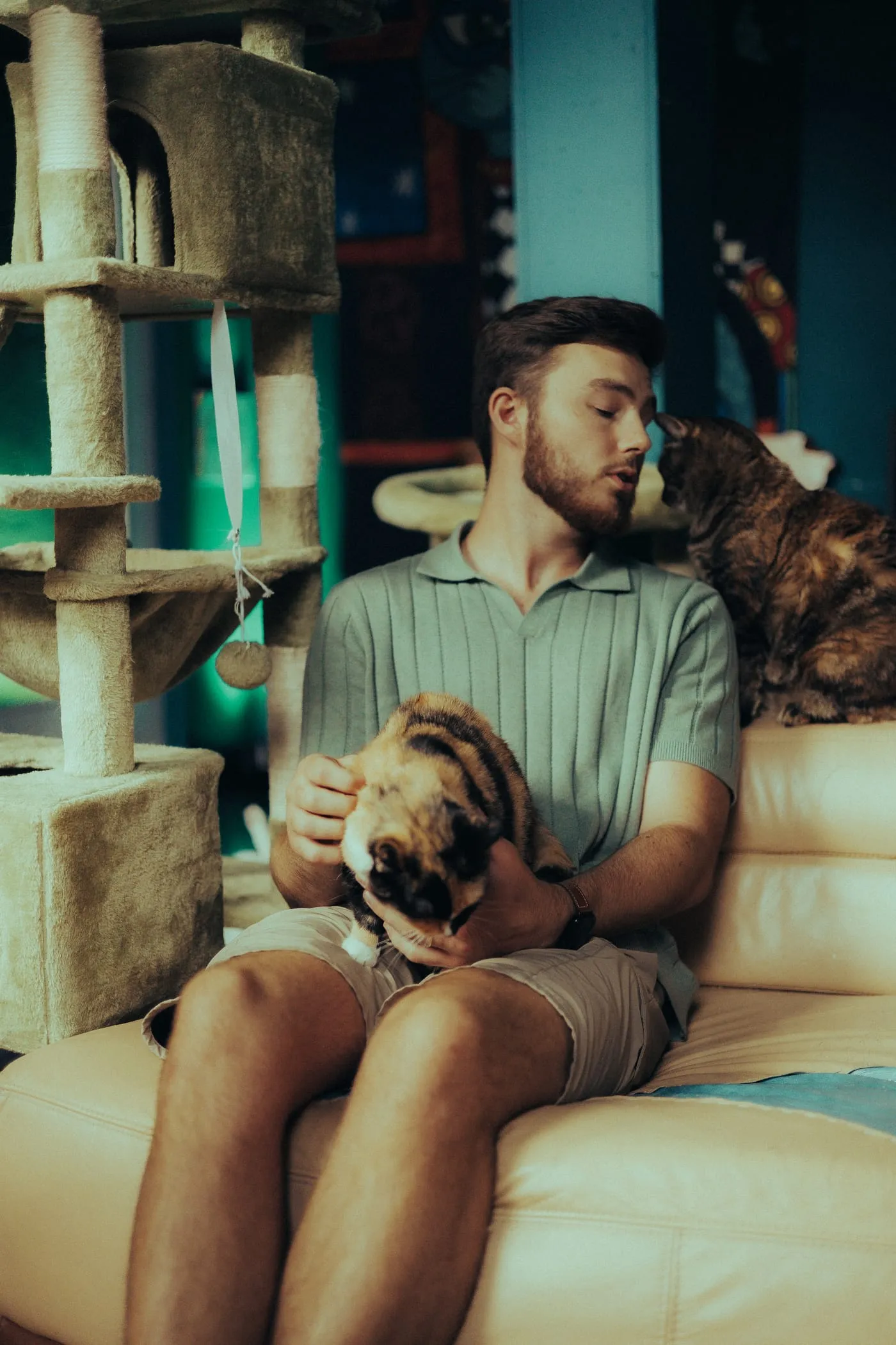 A man on a sofa with one cat in his lap and another on his shoulder