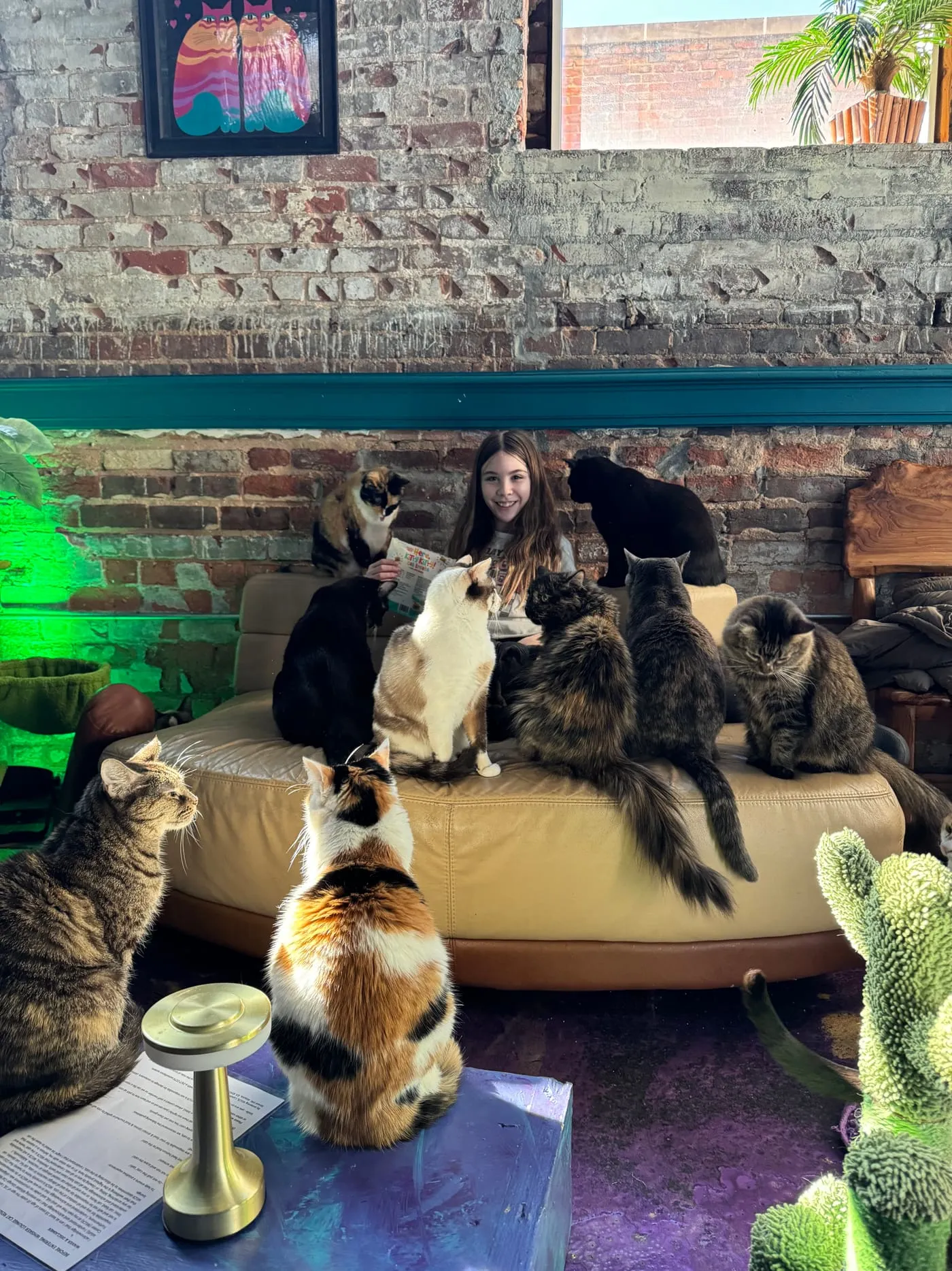 A woman sitting on a round sofa surrounded by eight cats
