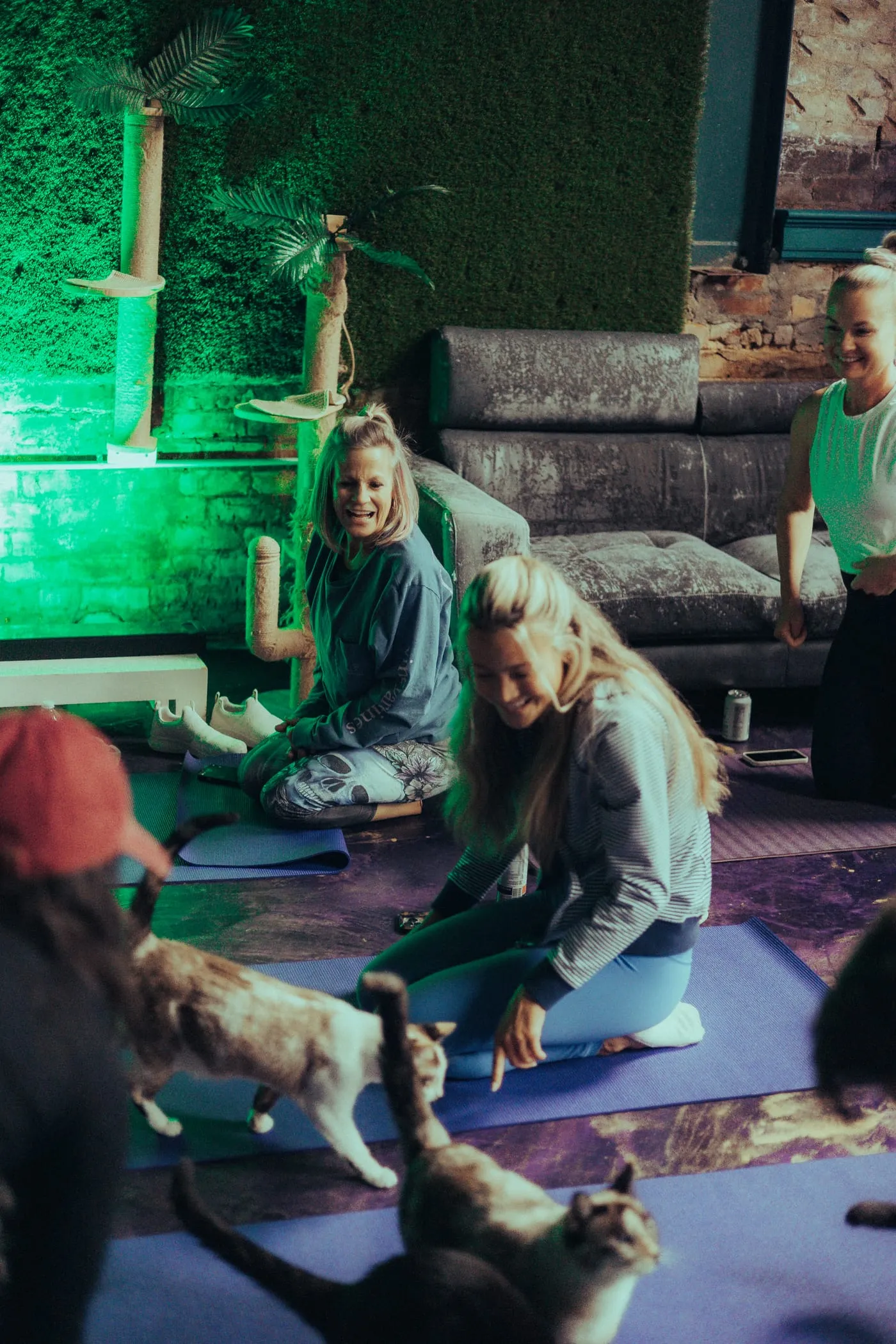 People laughing during a cat yoga class under green neon